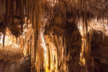 Sıcak renkli sarkıtlar ve dikitler Mayorka, İspanya 'daki drach mağaralarının içinde anımsatıcı şekiller oluşturuyor.