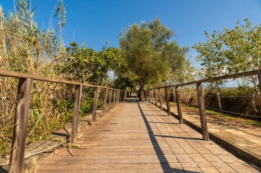 Mallorca, İspanya 'daki s' albufera doğal parkında uzanan yüksek ahşap yürüyüş yolu, sakin sulak alanların manzarasını gözler önüne serer.