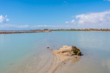 Mor menor tuz düzlüklerinin sığ sularında yüzen flamingo sürüsü, alicante, İspanya, berrak mavi gökyüzünün arka planına karşı canlı bir sahne yaratıyor, Murcia.
