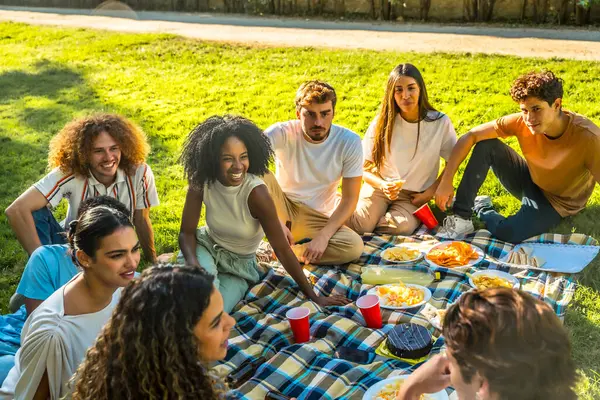 Doğanın tadını çıkaran çok ırklı arkadaşlar piknik battaniyesinde oturur, içecek içer ve parkta piknik yaparken atıştırmalık yerler.
