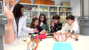 Biyoloji eğitimcisi, uzmanlaşmış anatomi laboratuarları içerisindeki bilimsel araştırmalar sırasında ilkokul öğrencilerine insan organlarının yapısını dikkatlice açıklıyor.