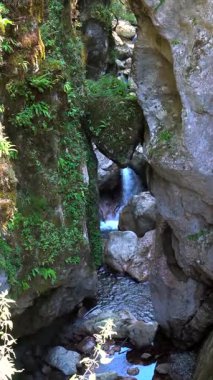 Turkuaz su, Slovanya 'daki tolmin vadilerinden akıyor ve pitoresk bir doğal manzara yaratıyor.