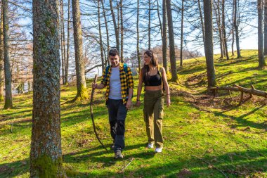 Yürüyüşçüler, canlı ağaçlarla çevrili manzaralı orman patikalarında yürürken güneşli bir günün tadını çıkarıyorlar ve doğanın huzurunun tadını çıkarıyorlar.