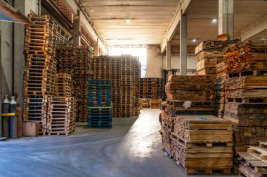 Geri dönüşüm tesisinde geri dönüşüm için bir palet deposunun tam boy fotoğrafı