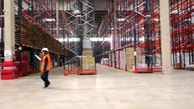 Kadın depo çalışanı geniş lojistik merkezinden geçiyor, endüstriyel depolama tesisi içindeki organize raflardaki malları düzenli olarak kontrol ediyor.