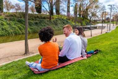 Üç arkadaş parkın kenarındaki bir battaniyede oturmuş güneşli bir günün tadını çıkarıyorlar.