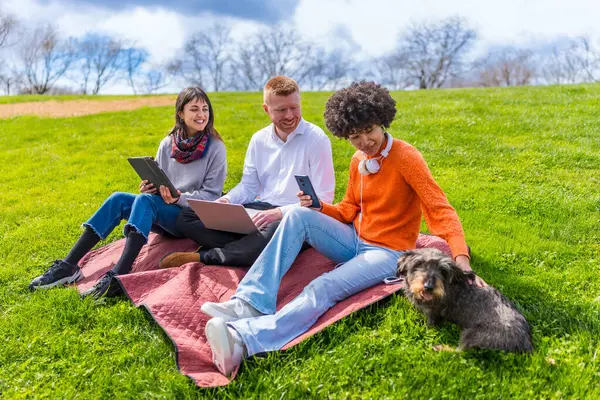 Üç öğrenci, köpekleriyle birlikte parkta bir battaniyede dinlenirken elektronik aletler kullanıyor.