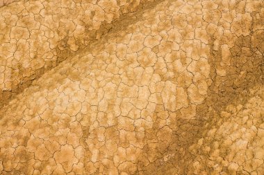 Kuru çatlamış toprak dokusu, şiddetli kuraklığın ve kurak iklim koşullarının etkilerini vurgulayan çarpıcı bir model oluşturur.