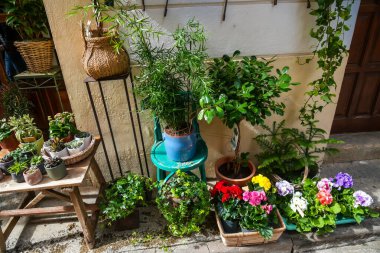 Renkli çiçekler ve yemyeşil bitkiler kırsal tablolara dizilmiş ve Avrupa 'nın büyüleyici sokaklarına biraz doğa katıyor.