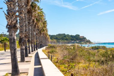 Cami de ronda geçidi Akdeniz 'de, Comarruga, tarragona, İspanya yakınlarında güneşli bir günde palmiye ağaçlarıyla süslenmiş Roc de Sant Gaieta' ya çıkıyor.