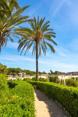 Güneşli bir günde, Coarruga, Tarragona, İspanya 'daki Roc de Sant Gaieta plajına uzanan palmiye ağaçları ve yeşil çalıların olduğu manzara.