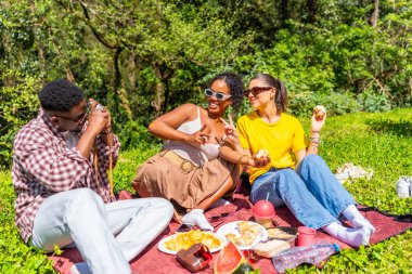 Genç arkadaşlar piknikte eğleniyorlar, fotoğraf çekiyorlar, yemek yiyorlar, barış işareti yapıyorlar, birlikte dışarıda vakit geçiriyorlar.