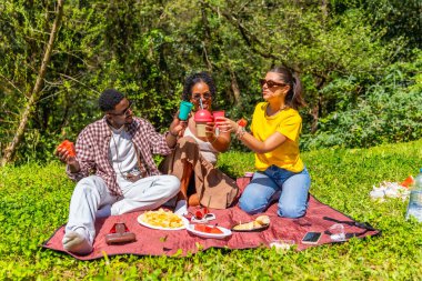 Üç arkadaş parkta yaz pikniğinin tadını çıkarıyor, içkilerle kadeh kaldırıyor ve battaniyede abur cubur yiyorlar.