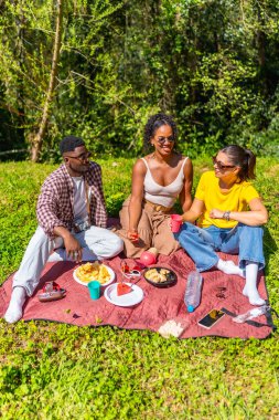 Üç arkadaş parkta piknik yapıyorlar, güneşli bir günde güzel yemek ve sohbetin tadını çıkarıyorlar.