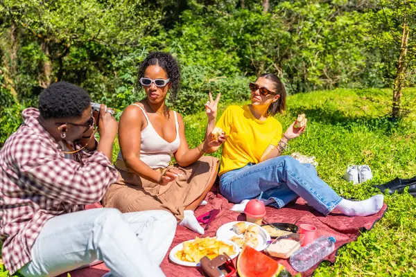 Bir grup arkadaş parkta güneşli bir pikniğin tadını çıkarıyorlar, gülüyorlar, lezzetli yemekler yiyorlar ve birlikte neşeli anları yakalıyorlar.