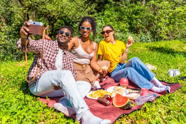 Yaz boyunca parkta piknik yaparken klasik kamerayla selfie çeken çok uluslu mutlu arkadaşlar.