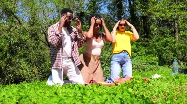 Çok kültürlü arkadaşlar kaygısız pikniğin tadını çıkarıyorlar güneşli bir parkta dans edip birlikte gülüyorlar. Gençlik arkadaşlığımızın neşeli anlarını paylaşıyorlar.