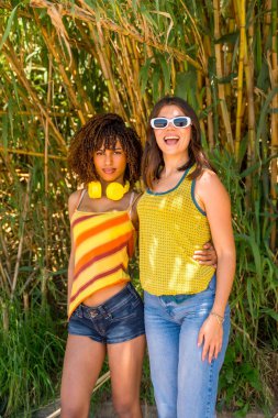 Canlı bir bambu ormanında sarılıp gülümseyen iki bayan arkadaş, güneşin tadını çıkarıyor ve tasasız günlerinin tadını çıkarıyorlar.