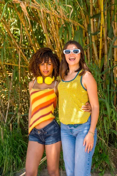Canlı bir bambu ormanında sarılıp gülümseyen iki bayan arkadaş, güneşin tadını çıkarıyor ve tasasız günlerinin tadını çıkarıyorlar.