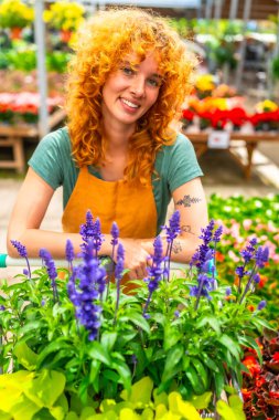 Gülümseyen kızıl saçlı bahçıvan canlı mor çiçeklerle dolu bir arabanın arkasında duruyor. Seranın yemyeşil bahçesiyle çevrili.