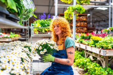 Kızıl saçlı bahçıvan, bahçesinde beyaz papatyalarla dolu bir tencere tutuyor. Renkli bitkilerle çevrili.
