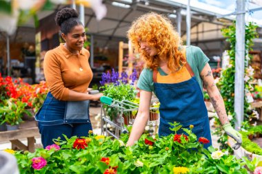 Renkli çiçeklerle ilgilenen ve müşterilere yardım eden bir bahçe merkezinde çalışan iki genç kadın.
