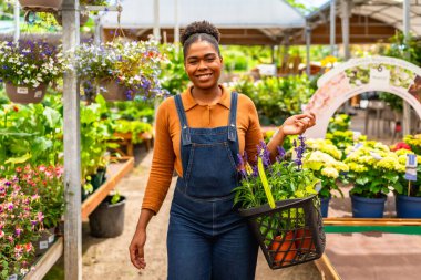 Bir bahçe merkezinde çalışan genç bir kadın, mutlu bir sepet dolusu canlı çiçekler ve ılık güneş ışığı altında yemyeşil bitkiler taşıyor.
