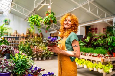 Genç satıcı kadın canlı bir saksı çiçeği tutuyor ve yemyeşil bir serada ışıl ışıl gülümsüyor.