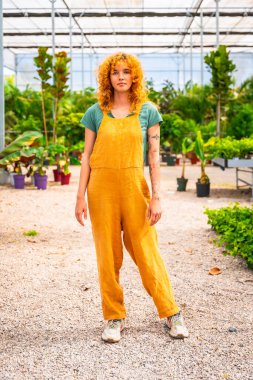 Kendine güvenen genç çiftçi yemyeşil bir seranın ortasında dikiliyor, gelişen bitkilerini denetliyor.