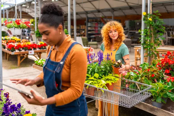 Bir bahçe merkezinde çalışan iki genç kadın bitkilerle ilgileniyor ve envanter yönetimi için dijital tablet kullanıyorlar.
