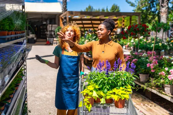 Bahçe merkezi çalışanı, bahçesine canlı bitkiler ve çiçekler seçerek neşeli bir alışveriş deneyimi yaratan bir müşteriye yardım ediyor.