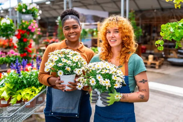 İki kadın bahçe çalışanı bir serada ya da fidanlıkta gülümseyen beyaz papatya saksıları tutuyor.