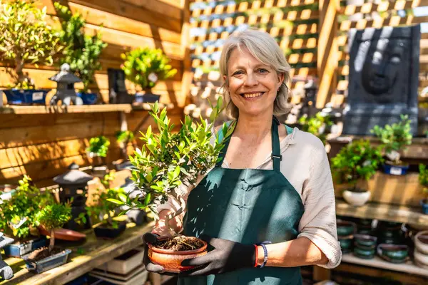 Kıdemli bahçıvan kadın canlı bir dükkanda küçük bir bonsai ağacını tutarken gülümsüyor, bitkileri yetiştirme tutkusunu sergiliyor.