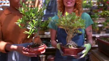 Bahçe merkezi çalışanları narin bonsai ağaçlarını dikkatle idare ediyor ve sergiliyorlar. Minyatür botanik sanatında uzmanlık ve tutku sergiliyorlar.