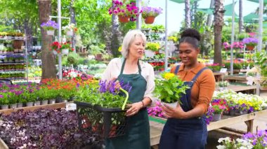Deneyimli ve genç çocuk bakıcıları çiçeklerle dolu bir bahçe merkezinde saksı bitkilerini tartışıyor.