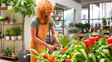 Çiçekçide elinde bromeliad bitkisi olan genç bir çiçekçi sağlığını kontrol ediyor ve güzelliğine hayran.