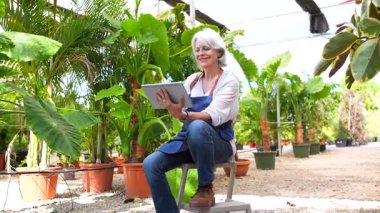 Profesyonel sera işçisi dijital teknolojiyle fabrika envanterini yönetiyor, büyümeyi izlemek ve modern tarım ortamında botanik koleksiyonu geliştirmek için tablet kullanıyor