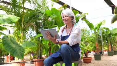 Modern tablet yönetim sistemini kullanarak dijital teknolojiye yön veren profesyonel sera işçisi, fabrika sağlığı ve envanterin hassas bir şekilde izlenmesi