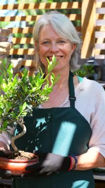 Tecrübeli bahçıvan, terasotta tenceresinde minyatür bonsai ağacını dikkatle tutuyor. Bahçıvanlık tutkusunu ve uzmanlığını güneşli bitki yetiştirme ortamında sergiliyor.