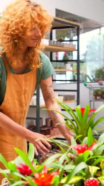 Dövmeleri olan profesyonel bir çiçekçi rahat çiçekçide canlı bromeliad düzenliyor botanik perakende ve bitki bakımı tutkusu sergiliyor.