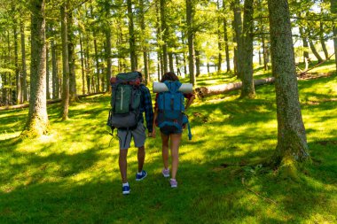 Çiftler yemyeşil ormanlarda yürüyüş yapmaktan zevk alıyorlar, sırt çantaları taşıyorlar ve el ele tutuşuyorlar, doğanın huzurunu yaşıyorlar.