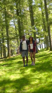Güneşli yaz tatili boyunca yemyeşil orman patikalarından geçen neşeli turistler, yakın yürüyüş yolculuklarını paylaşıyorlar.