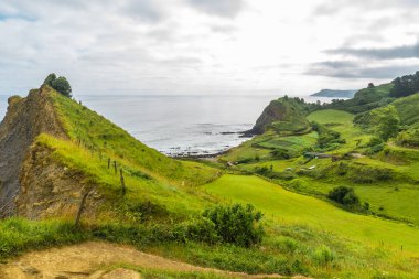 Zumaia, Gipuzkoa, Bask Ülkesi, İspanya 'daki Sakoneta Sahili kıyısındaki benzersiz uçan kaya oluşumlarını gösteren manzara.