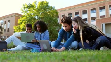Çeşitli kolej öğrencileri çimlerin üzerinde oturuyor, birlikte çalışıyorlar ve dizüstü bilgisayarlarını bir proje için kullanıyorlar, güneşli bir üniversite kampüs ortamında takım çalışması ve konsantrasyonu teşvik ediyorlar.