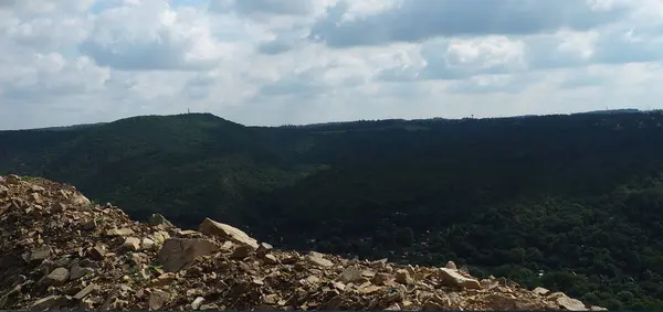 Yoğun orman ve bulutlu gökyüzü ile kaplı bir tepe manzarası