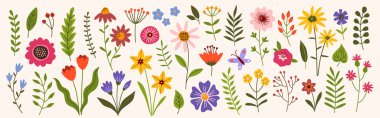 Flower collection, floral design elements vector set.