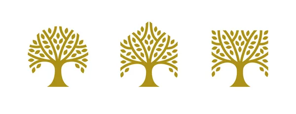 Farklı Geometrik Şekillerde Kare Altıgen Şeklinde Ağaç Logoları Lüks Kaplıca — Stok Vektör