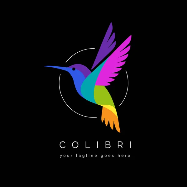 Buntes Fliegendes Kolibri Logo Colibri Symbol Symbol Kreisform Auf Schwarzem — Stockvektor