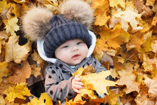 Lächelndes Baby Liegt Herbstpark Mit Bunten Ahornblättern Stockbild