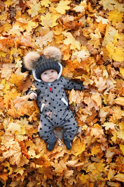 Bebê Sorridente Deitado Parque Outono Com Colorido Folhas Bordo Fotografia De Stock